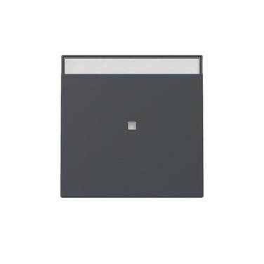 Gira Wippe Kontrollf. 367028