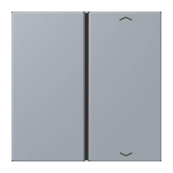 Jung Taste 1fach m. Pfeilsymb. LC 401 TSAP 257