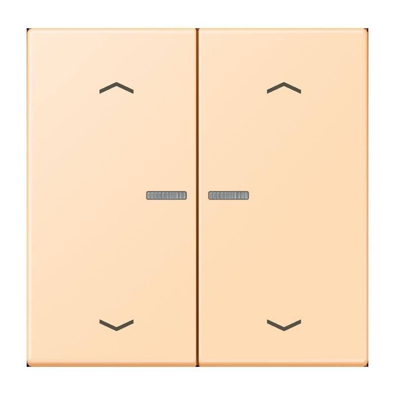 Jung Wippe mit Lichtleiter LC 102 KO5P 223-0