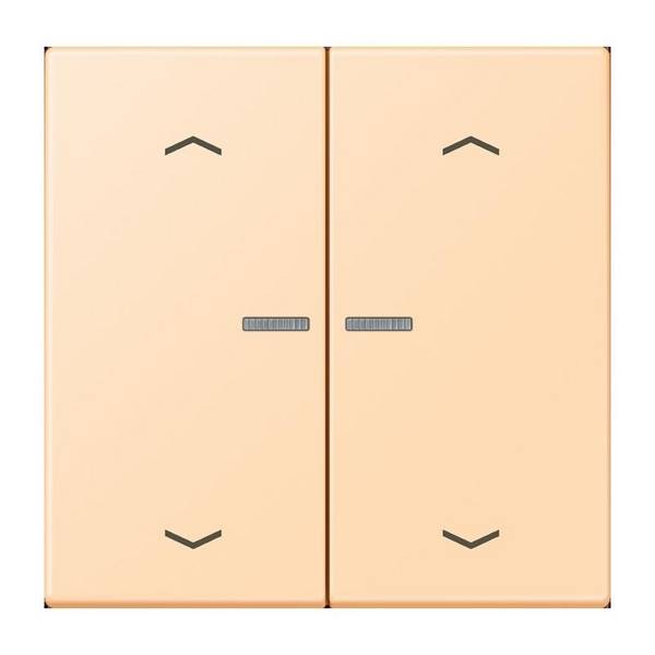 Jung Wippe mit Lichtleiter LC 102 KO5P 223