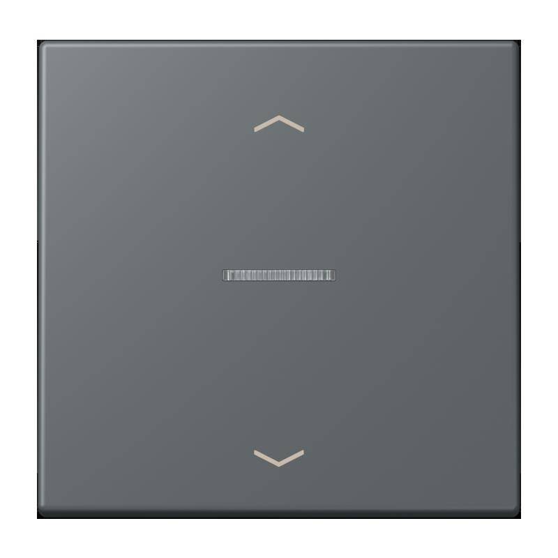 Jung Wippe mit Lichtleiter LC 101 KO5P 202-0
