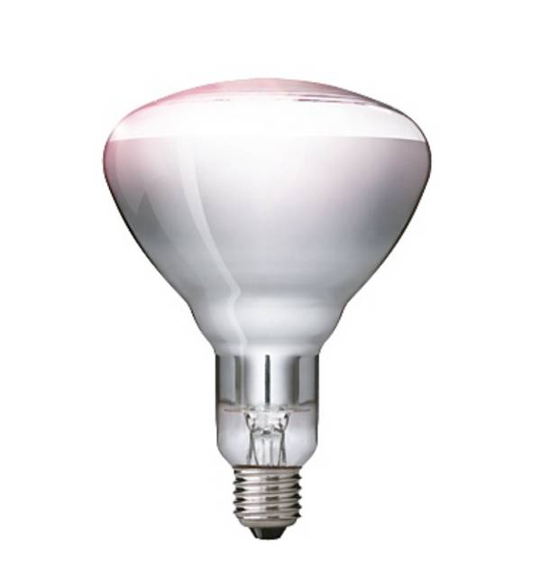 Philips Lighting Infrarot-Heizstrahler IR 250 CH