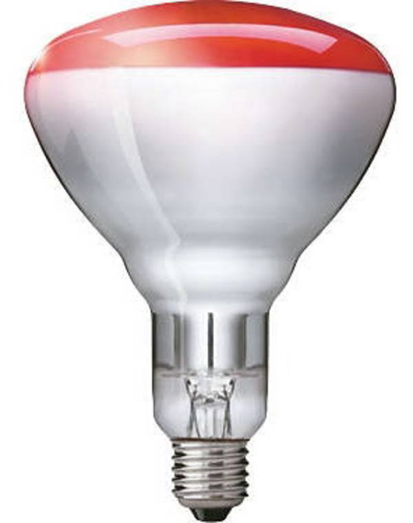 Philips Lighting Infrarot-Heizstrahler IR 250 RH