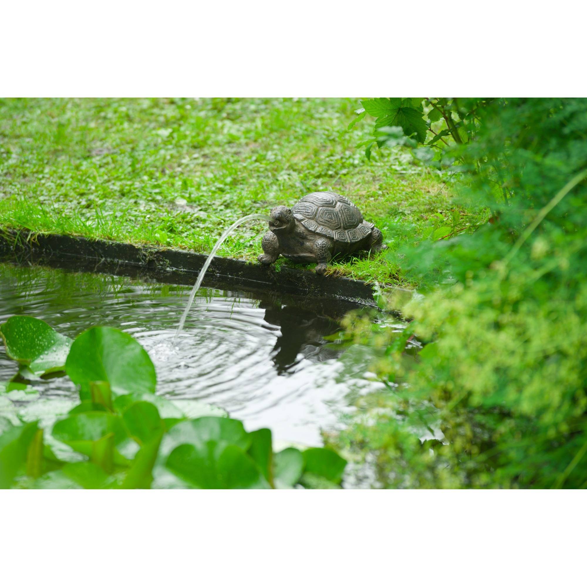 Ubbink Spray Figur Turtle-1