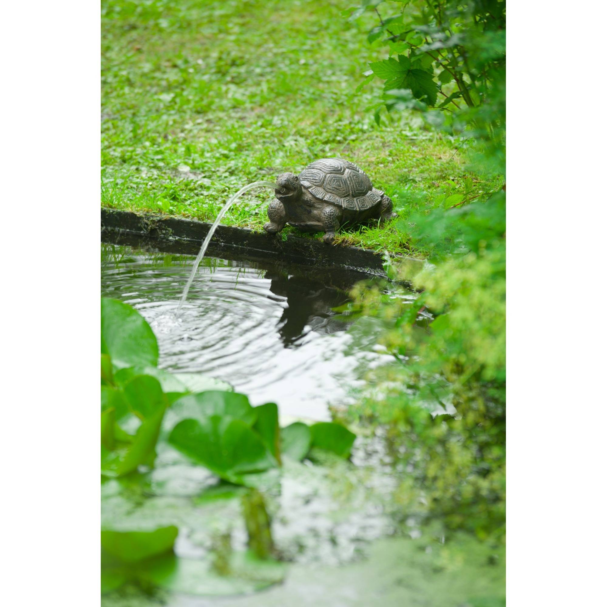 Ubbink Spray Figur Turtle-2