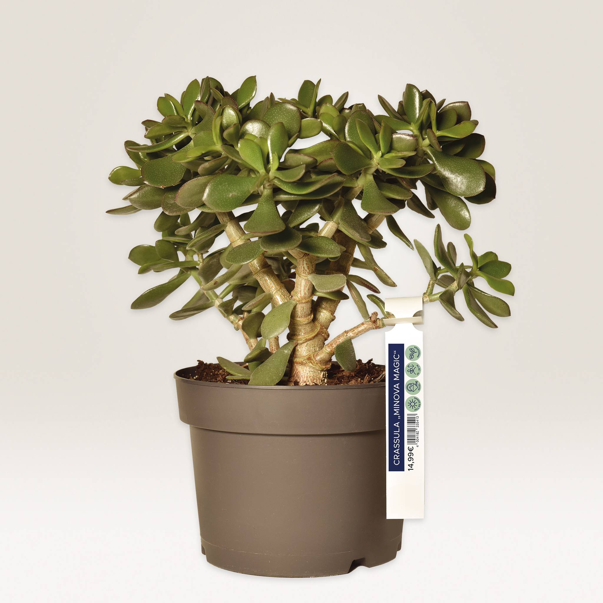 Schlaufen-Anhänger, Avery T3008-10-2