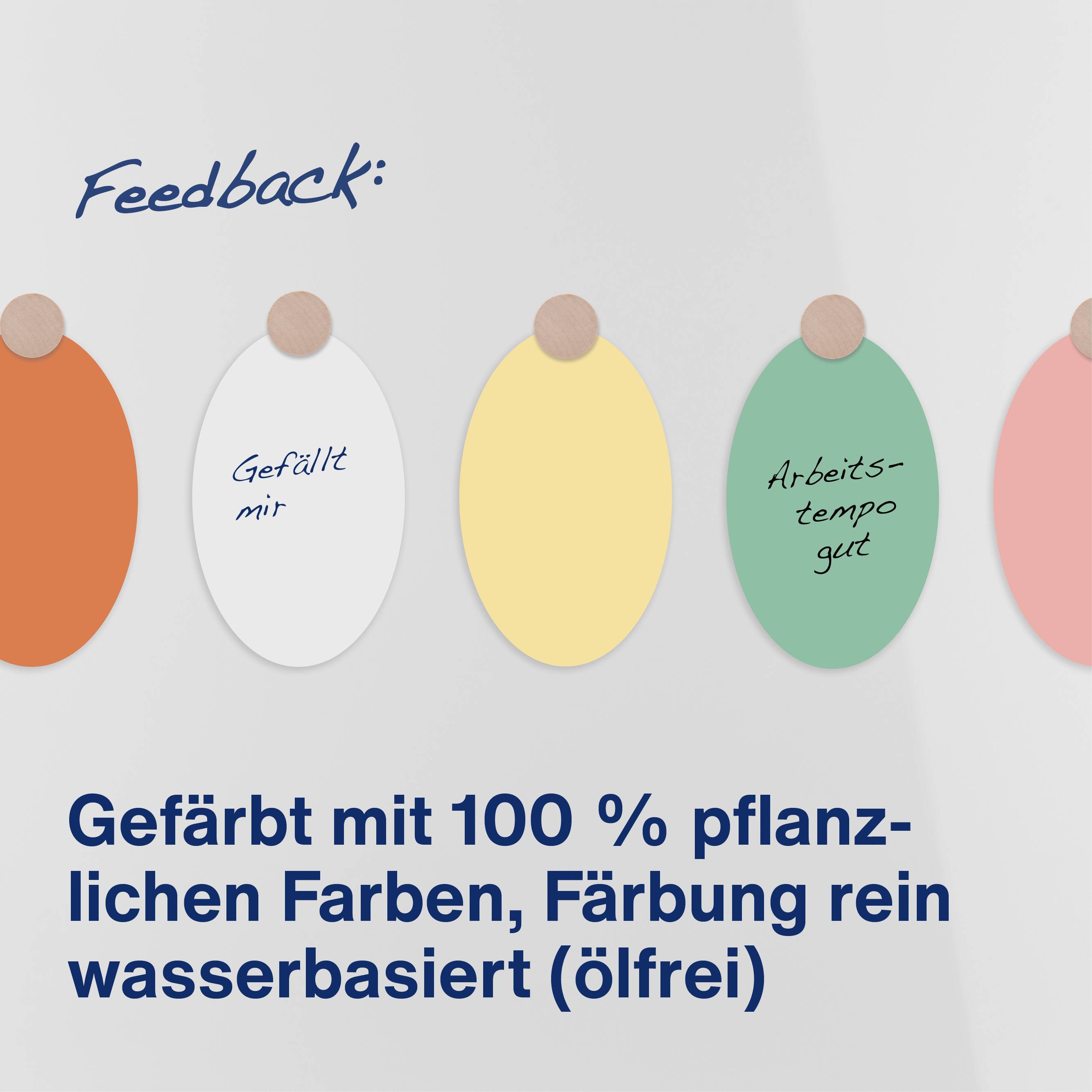 magnetoplan Moderationskarte 112501910 oval 192x111mm so. 250St.-1