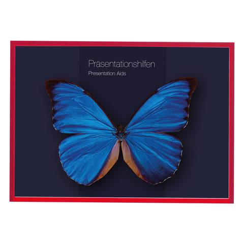 Magnetofix Sichtfenster blau DIN A3 5St-1