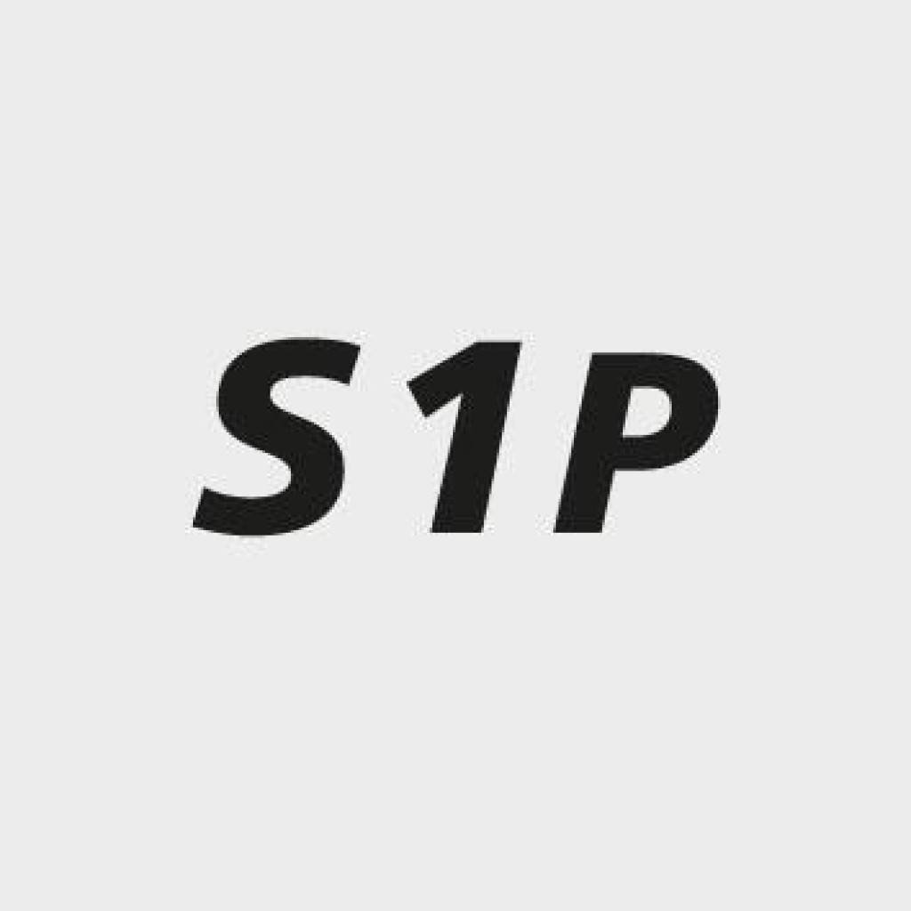 STEITZ SICHERHEITSSANDALE VD PRO 1000 S1P GR. 45 - NORMALE WEITE ARBEITSSANDALE, STEITZ SECURA-2
