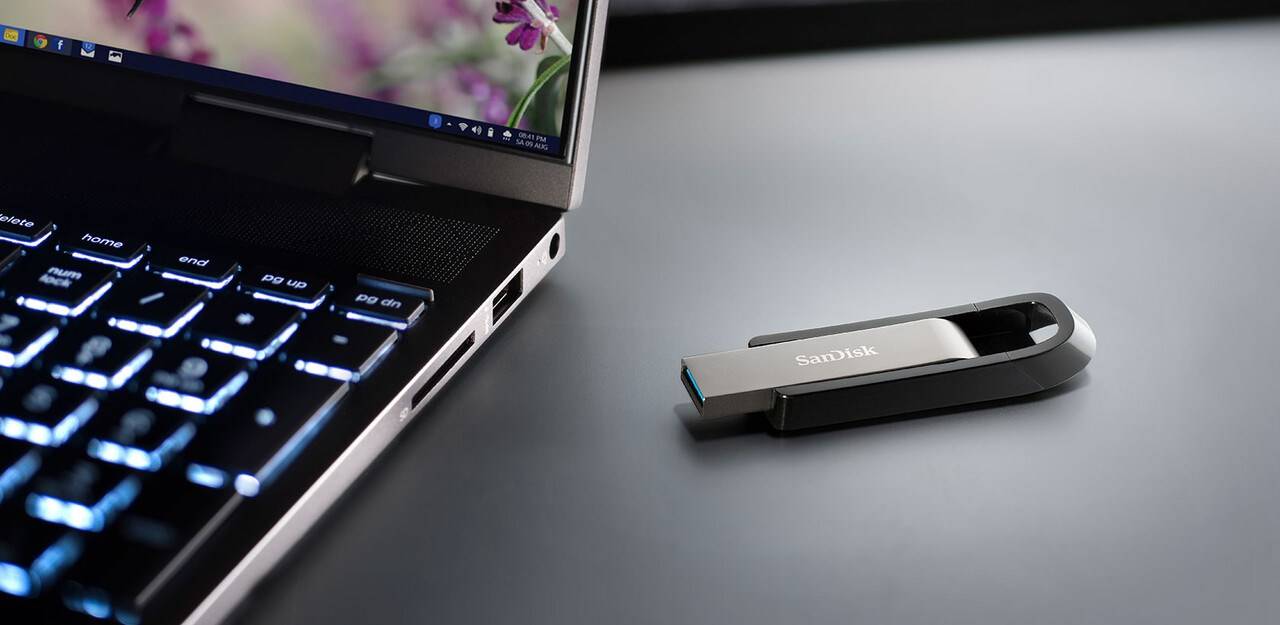 SanDisk Extreme Go - USB-Flash-Laufwerk - 256 GB-2