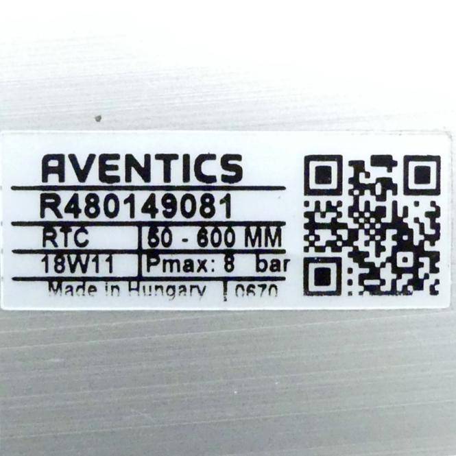 Aventics R480149081 (RTC-DA-050-0600-BV-MM00S00BLP0), Schlitzzylinder Serie RTC-BV-1