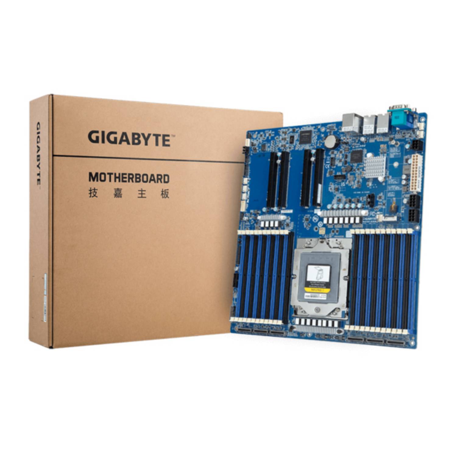 Gigabyte MZ33-AR0 - 1.0 - Motherboard - E-ATX EPYC 9004 Series-0