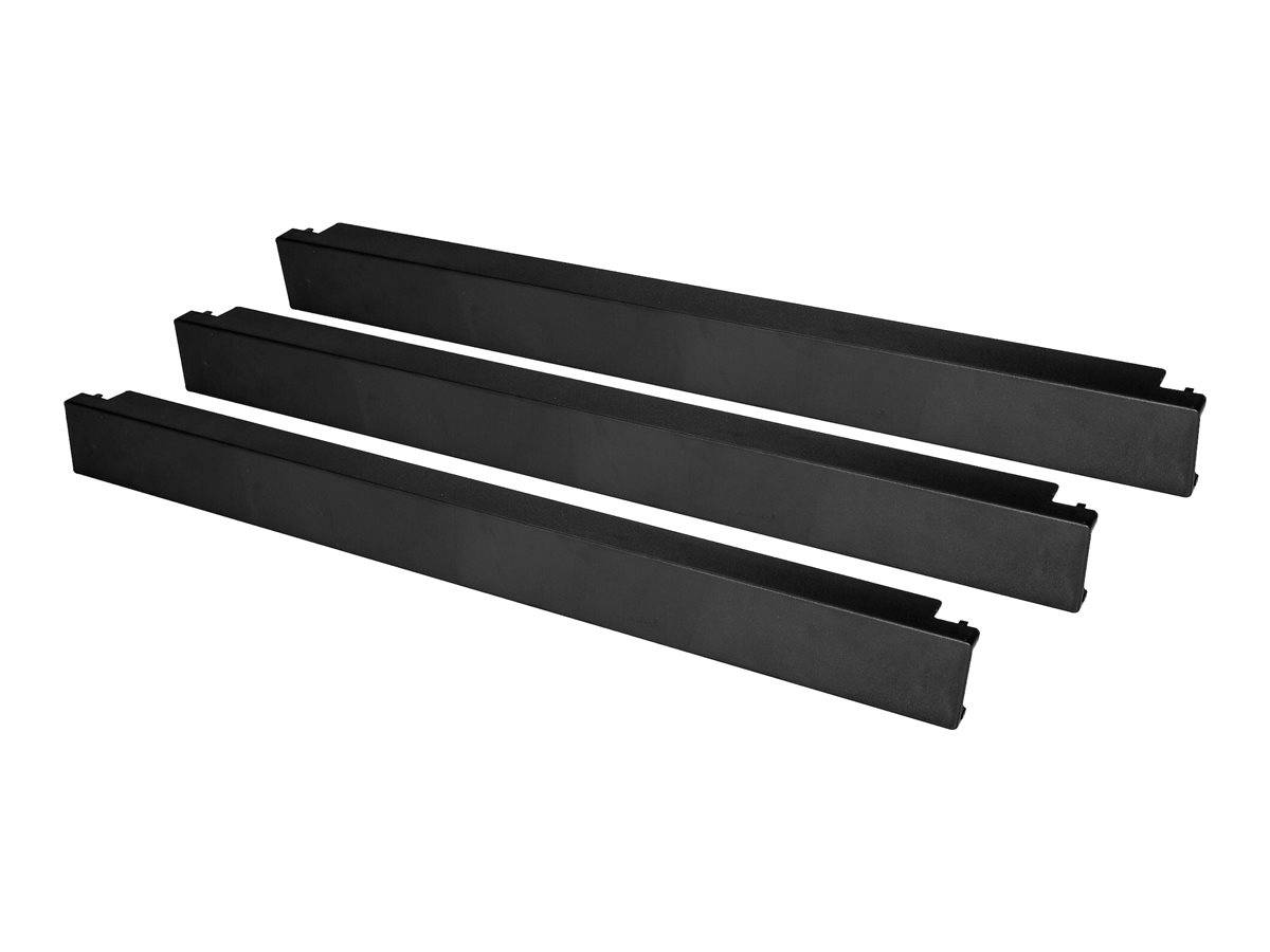 StarTech.com 1HE Blindpanel - Werkzeuglose Rack Panel - 10 Pack1HE Blindpanel --3