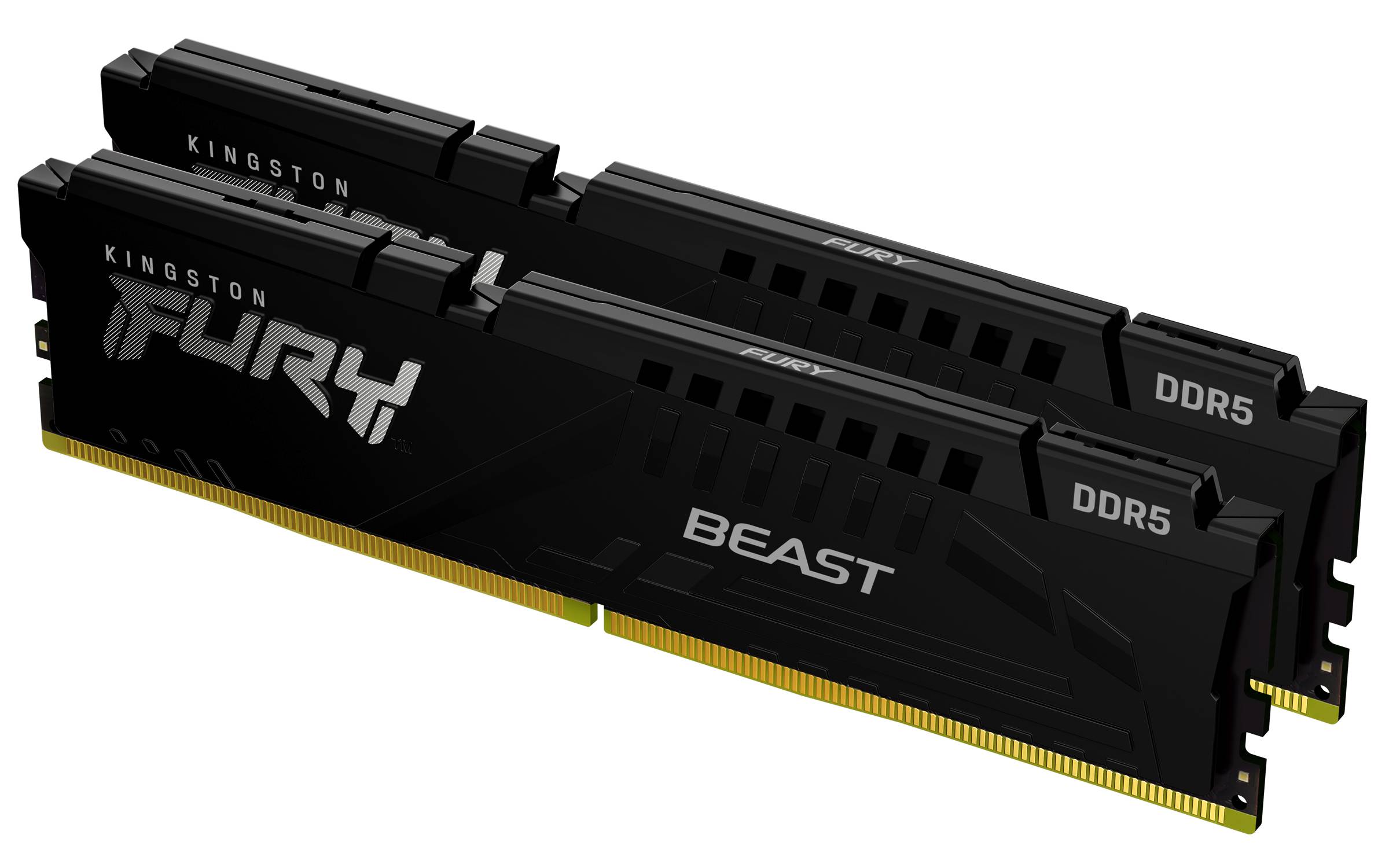 Kingston FURY Beast - DDR5 - Kit - 16 GB: 2 x 8 GB-1