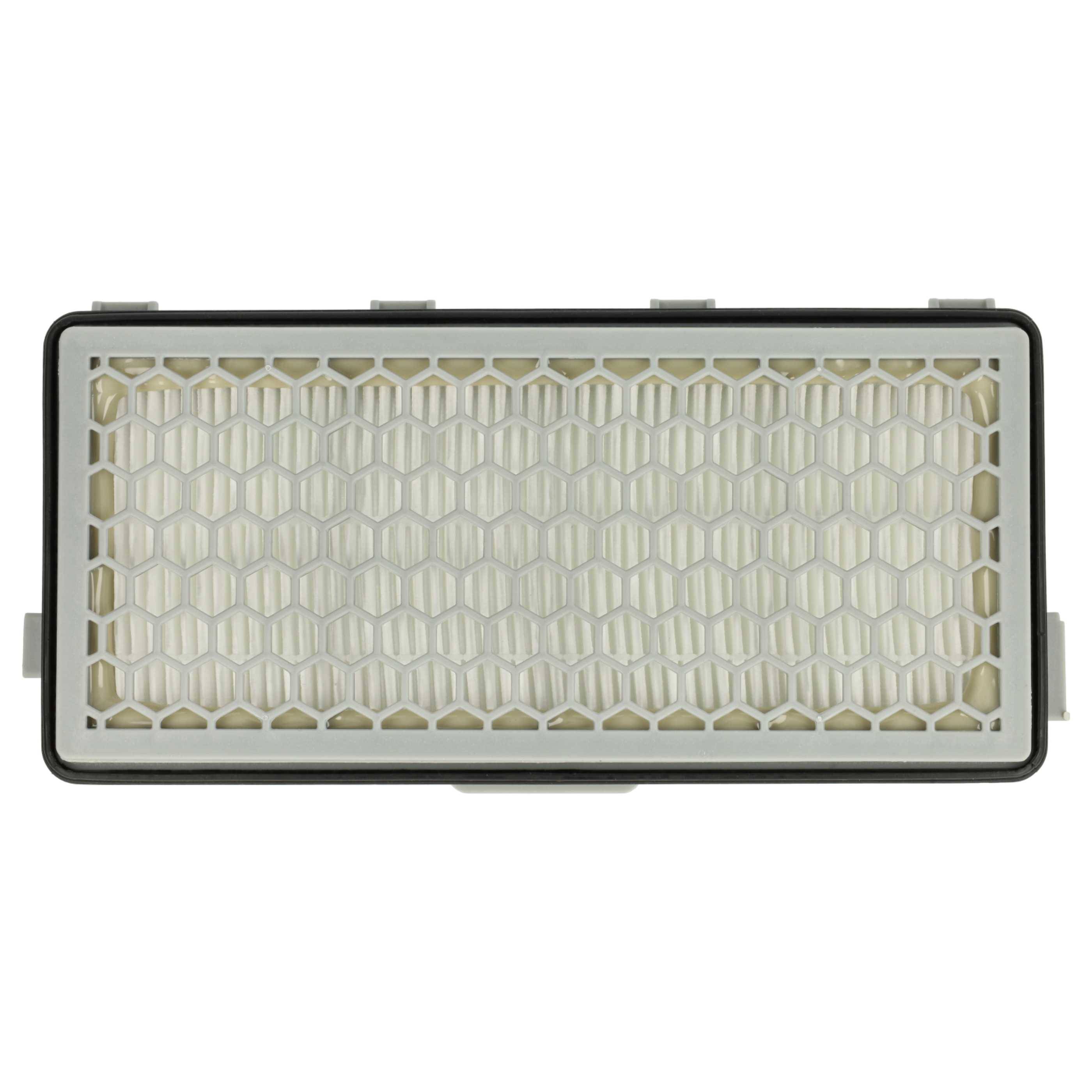 vhbw 2x Staubsaugerfilter Ersatz für Miele SF-AAC50 | SFAH50, SF-AP50, 9616286, SF-AA50, SF-AH 50, SF-AH50 für-2