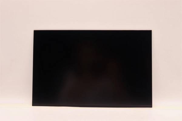 Lenovo DISPLAY AUO 14.0 WUXGA AG (5D10V82364)