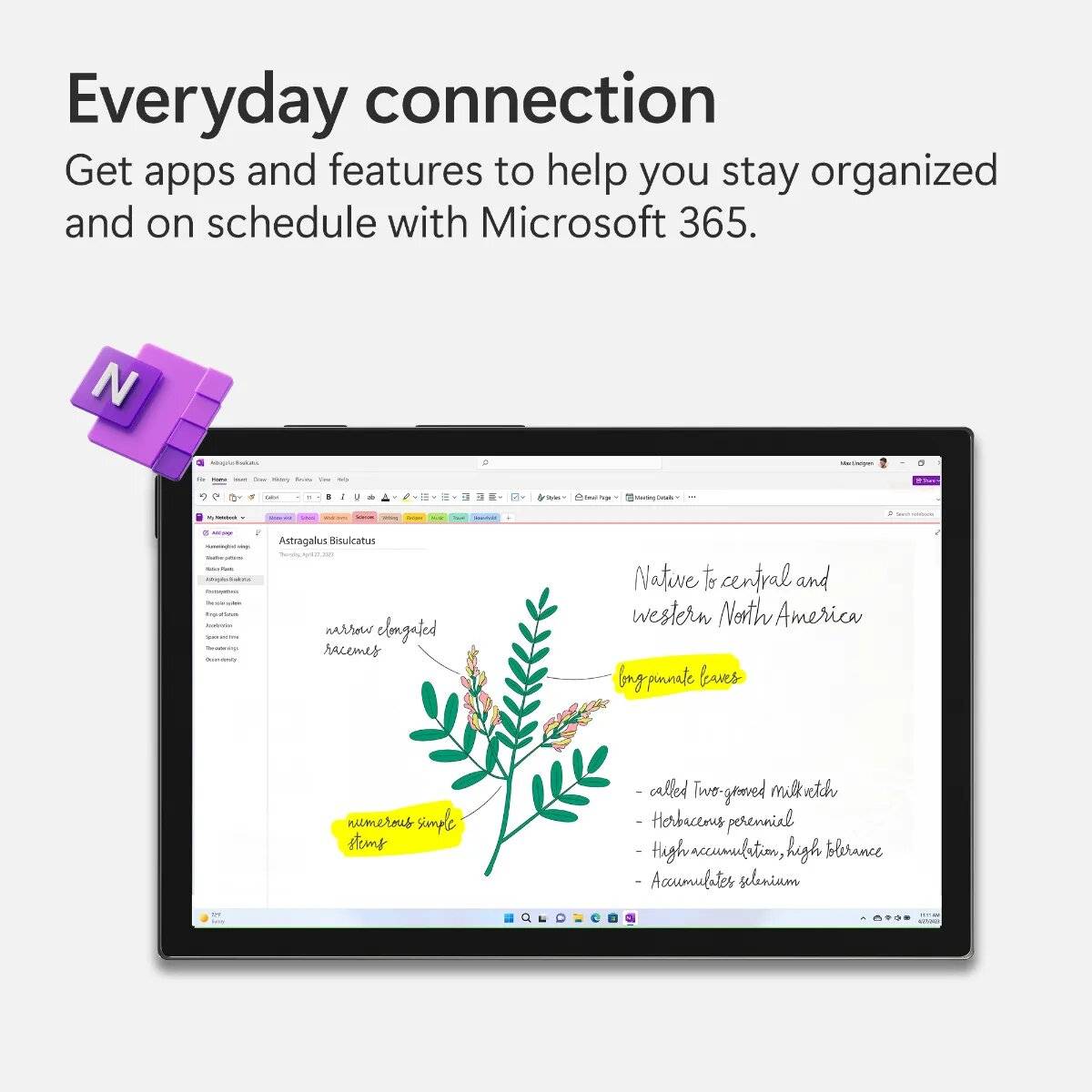 Office 365 Family - 6 Benutzer- 1 Jahr-3