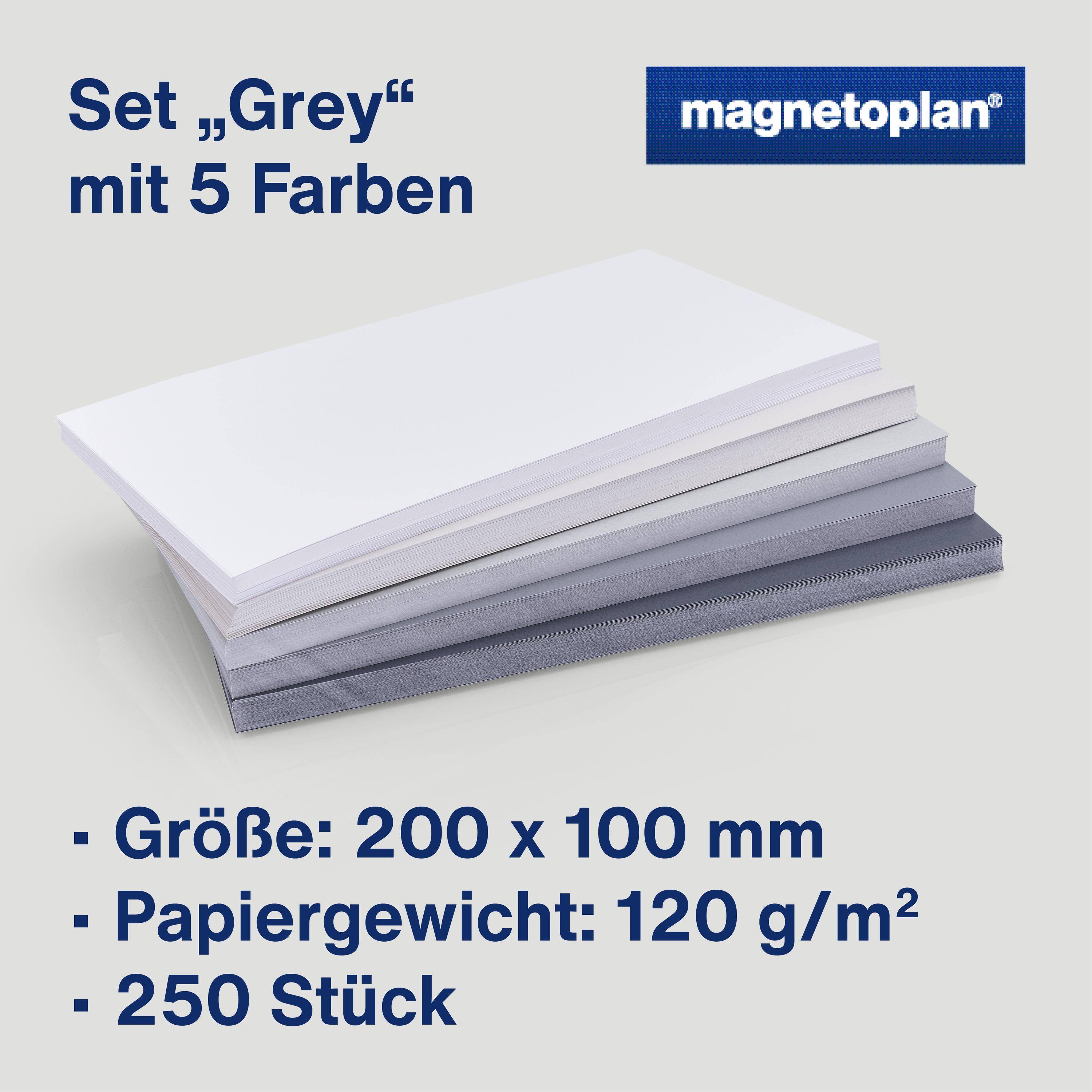 HOLTZ OFFICE SUPPORT - Grey Moderationskarte farbig sortiert Grau rechteckig 250 St.-1