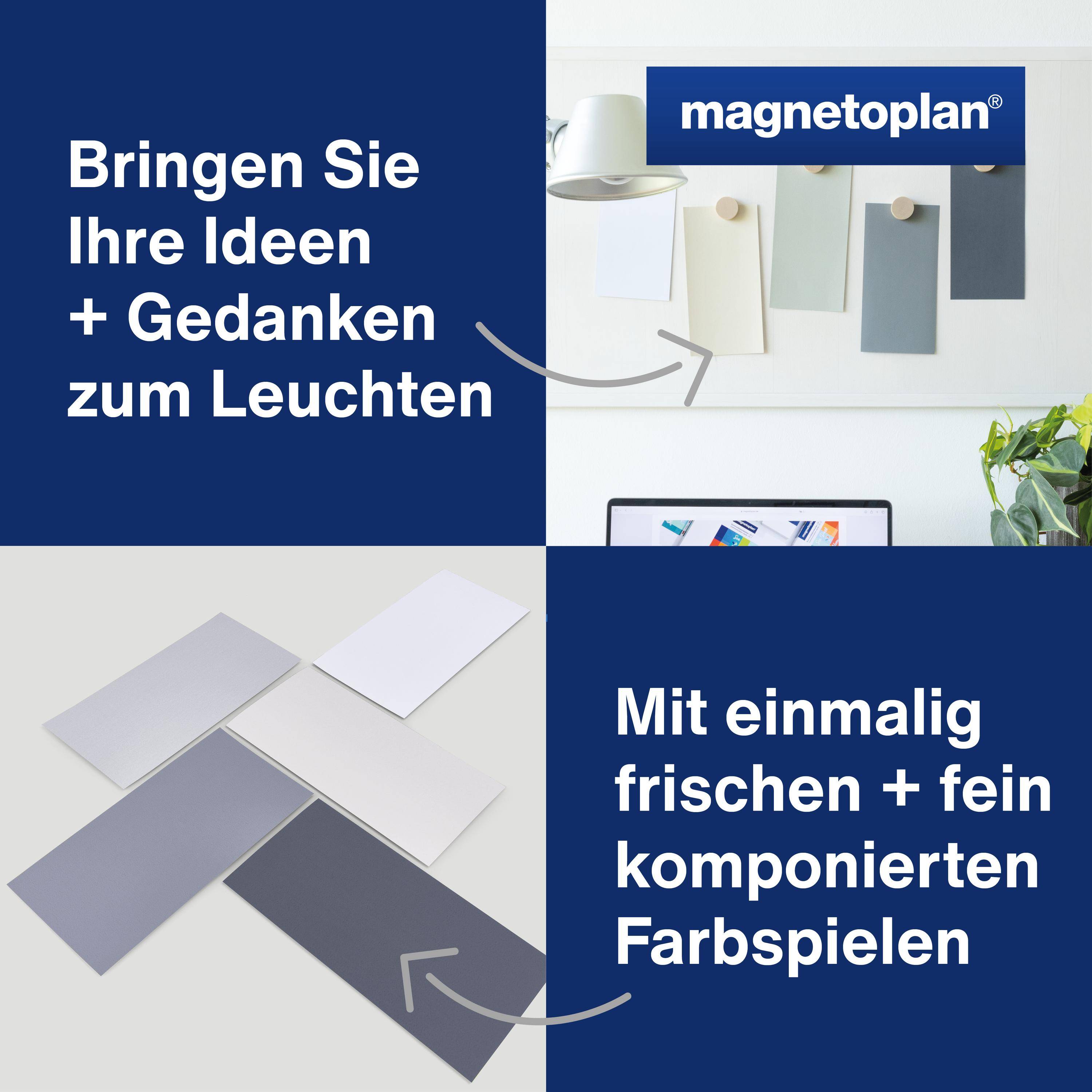 HOLTZ OFFICE SUPPORT - Grey Moderationskarte farbig sortiert Grau rechteckig 250 St.-3