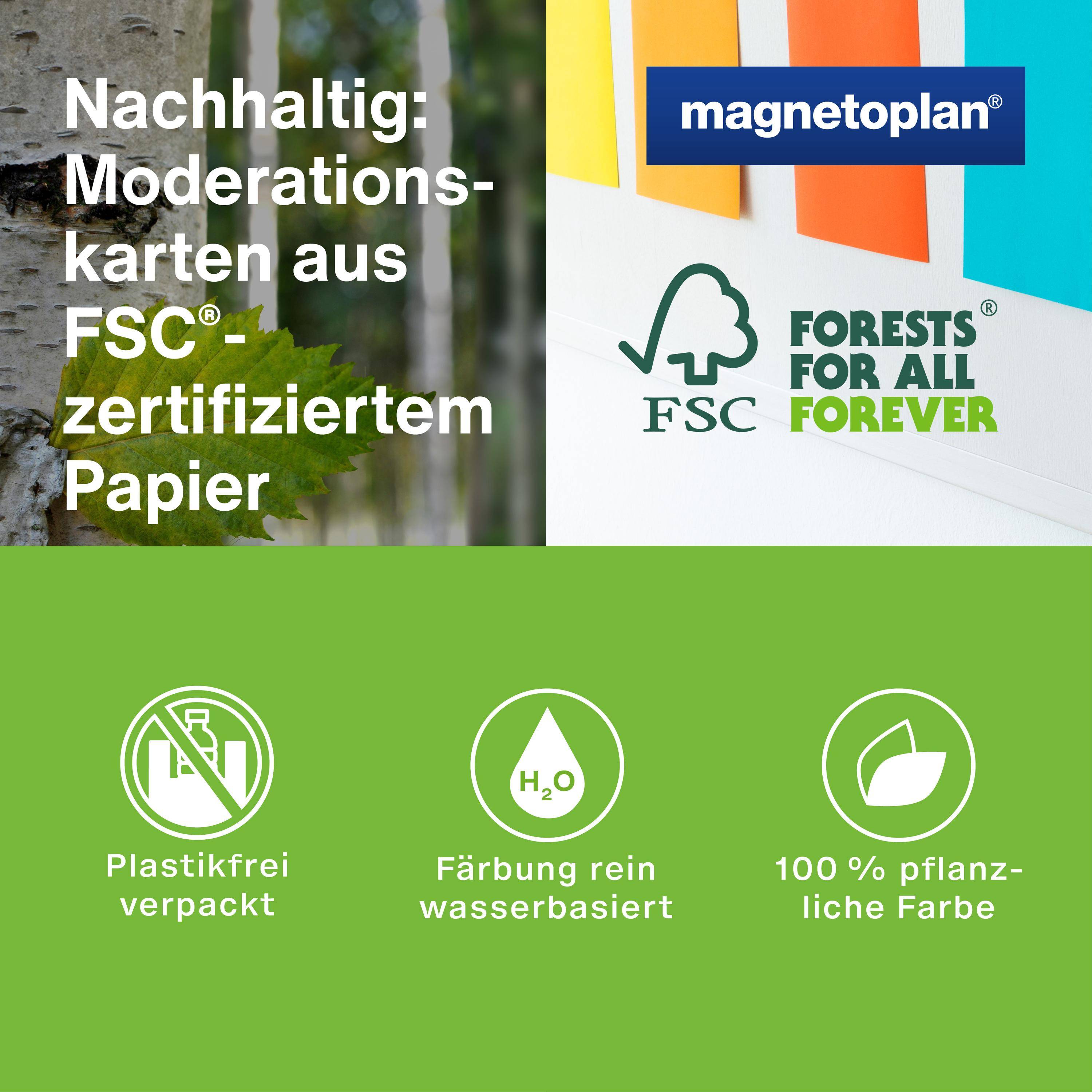 Magnetoplan Moderationskarten 200x100mm - Set "Rainbow" - 250Stk-4