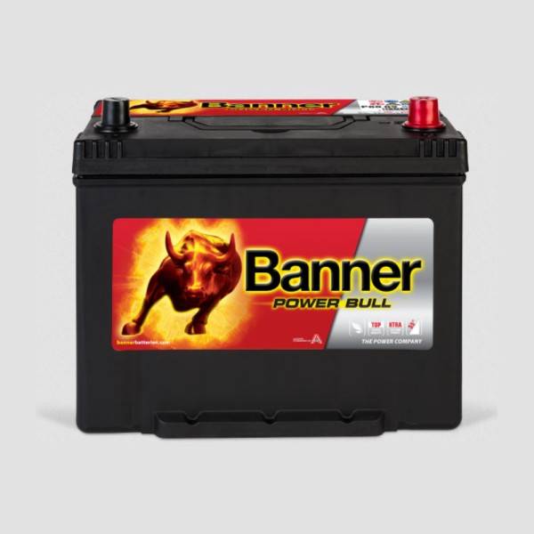 Banner P8009 Power Bull 12V 80Ah 640A Autobatterie-0
