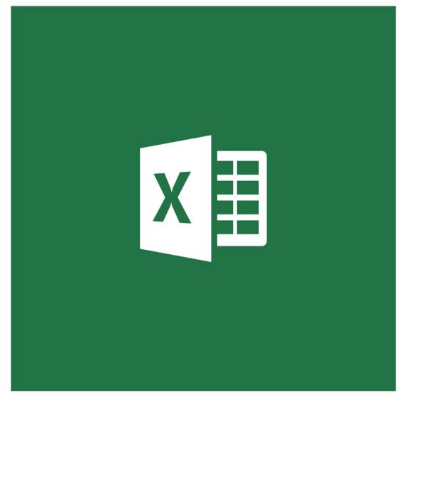 Microsoft Excel for Mac - Lizenz & Softwareversicherung
