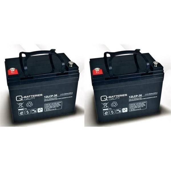 Ersatzakku für E-Scooter Rapid 2 24V 2 x 12V 36Ah Zyklentyp AGM VRLA-0