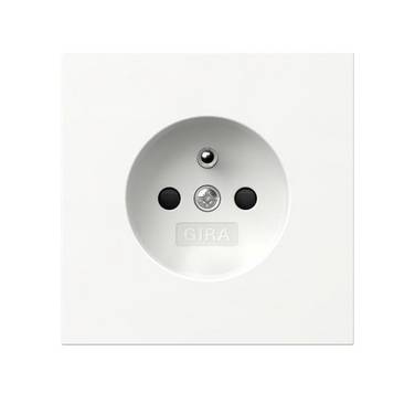 Gira Steckdose Erdstift 448570