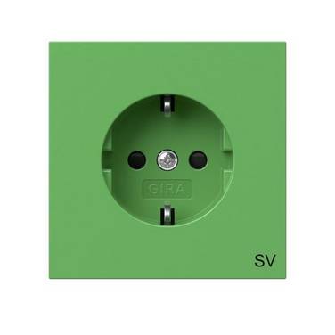 Gira SCHUKO-Steckdose gn 4453707