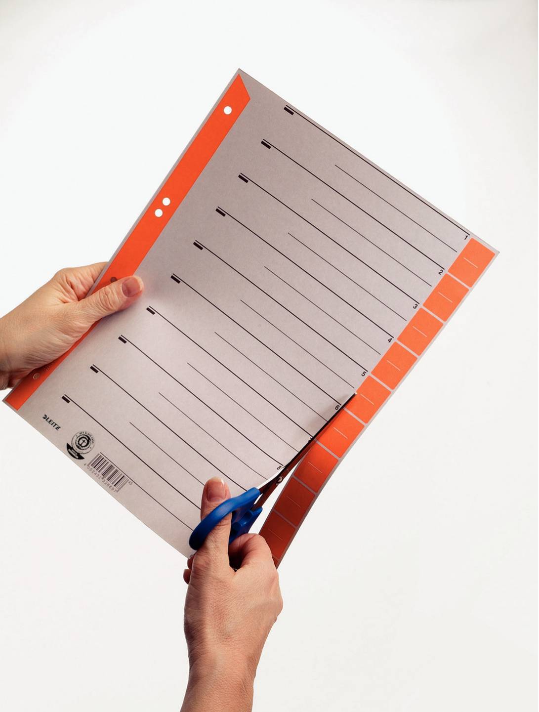 Esselte Leitz Trennelement - vorgedruckt: 0-9 - für A4 (210 x 297 mm)-1