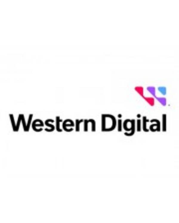 WD Ultrastar DC HC580 WUH722422AL5204 Festplatte Datencenter 22 TB intern 3.5" 8,9 cm SAS 12Gb/s 7200 rpm Puffer: 512 MB