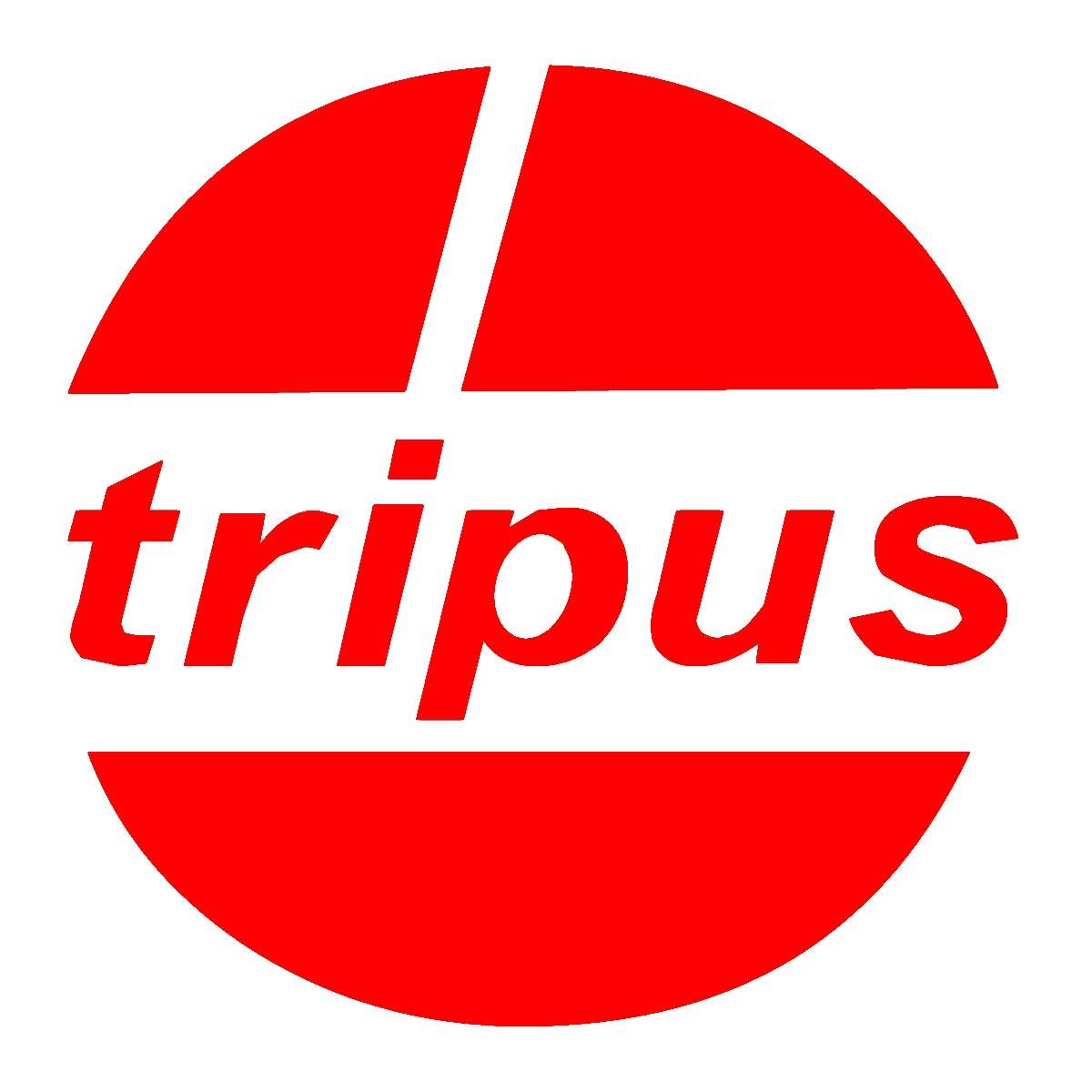 ALV 10 Anlauf- und Abschaltverzögerer Tripus-1