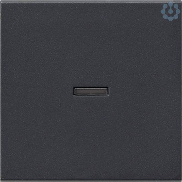 GIRA Abdeckung Kontrollschalter System 55, Standard 55, E2, Event, Event Klar, Event Opak, Esprit, ClassiX Anthrazit 029-1