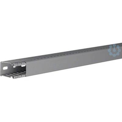 Verdr.kanal 40x25mm BA64002507030B BA6 2000mm steingrau-0