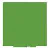 Whiteboard Skincolor BASIC-Version - Stahlblech lackiert BxH 1290 x 1290 mm grün. 85547649 855476 49