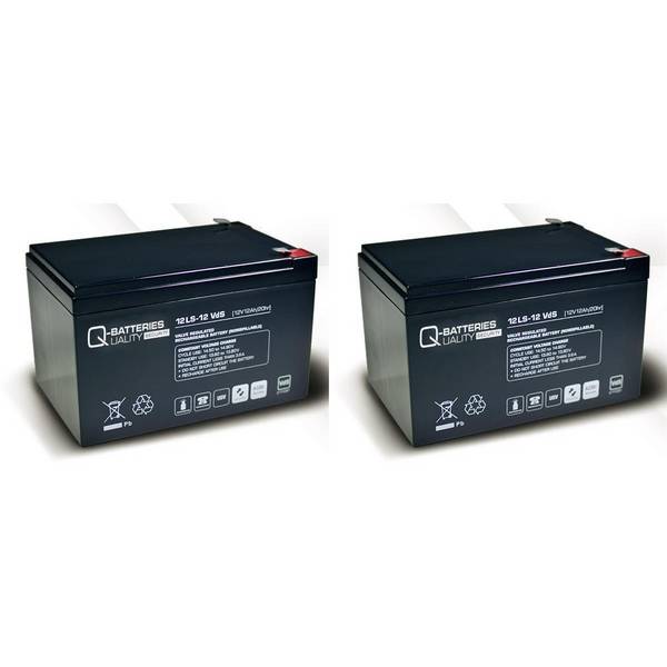 Ersatzakku für APC Smart-UPS SMT1000I RBC6 RBC 6 / Markenakku mit VdS
