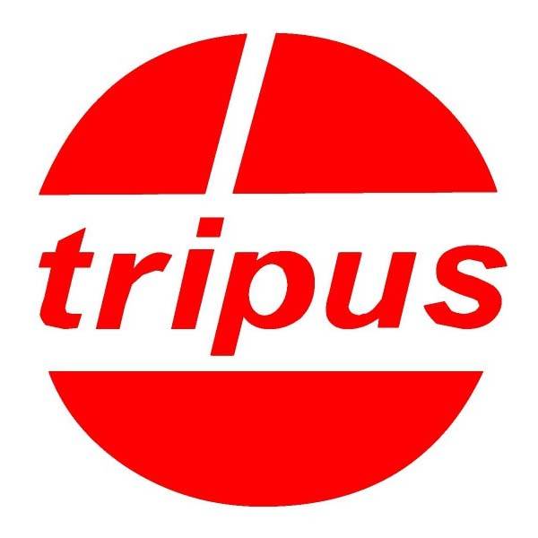 300.530 Schutzkappe transparent/ gelb für SSK 510 Tripus-1