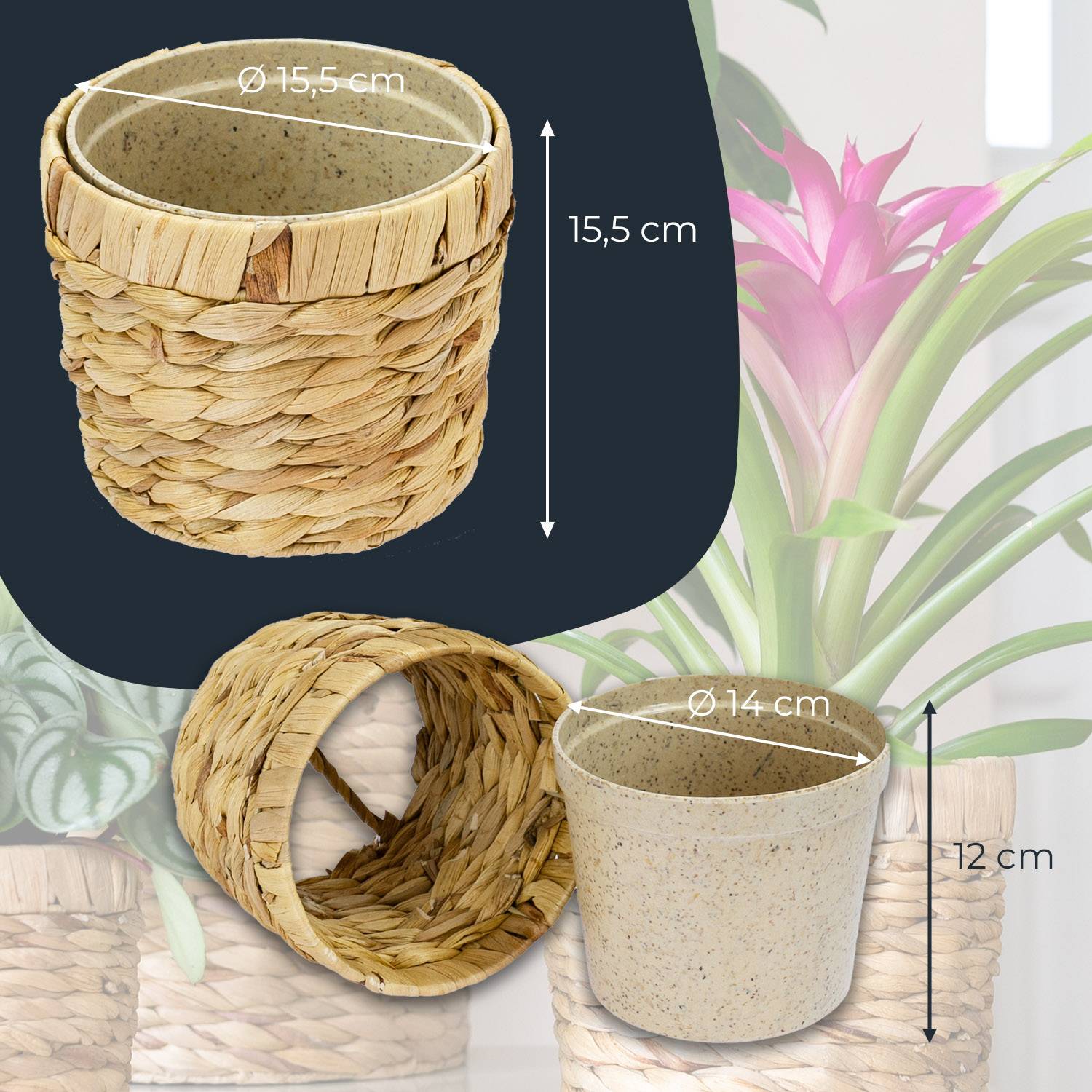 HMF Innovativer Blumentopf aus Wasserhyazinthe, mit Pflanztopf aus nachhaltigen Rohstoffen, Rund, 14 cm Durchmesser-4