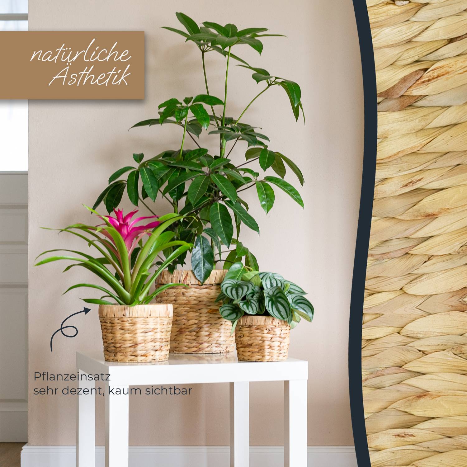 HMF Innovativer Blumentopf aus Wasserhyazinthe, mit Pflanztopf aus nachhaltigen Rohstoffen, Rund, 19 cm Durchmesser-4