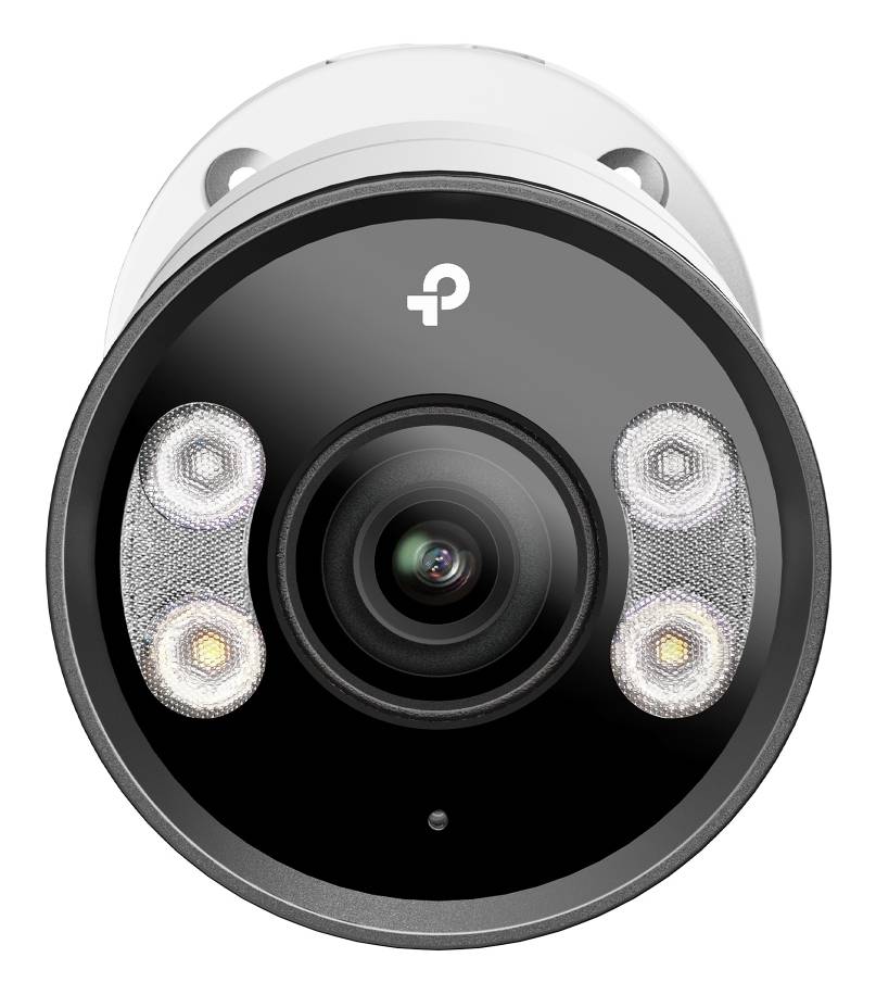 TP-LINK VIGI InSight S355 V1 - Netzwerk-Überwachungskamera - Kugel - Außenbereich - wasserfest - Farbe (Tag&Nacht)-1