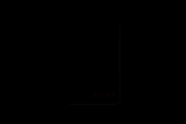 KEBA RFID cards design 127939 (VE10)