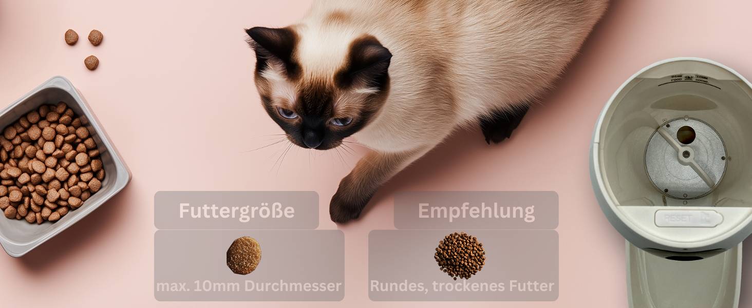 Berger + Schröter | Smart Pet Feeder, smarte Futterstation und Kamera für Haustiere 720P HD Video, Funk-Fernüberwachung-3