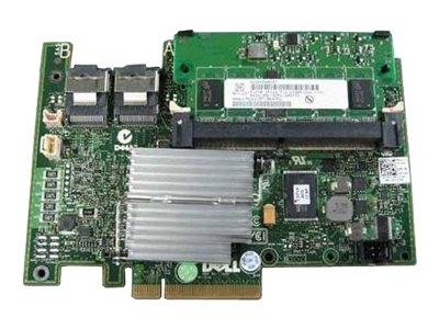 Dell 405-AADX Speichercontroller (RAID) - Plug-in-Karte - Low-Profile Netzwerkgerät-2