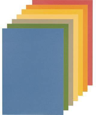 Falken Aktendeckel 80001233 23x31,8cm 250g ch 100 St./Pack.-2