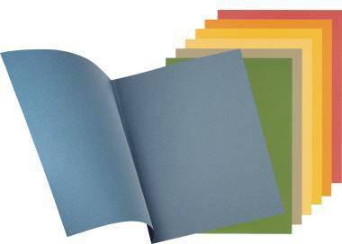 Falken Aktendeckel 80001233 23x31,8cm 250g ch 100 St./Pack.-3