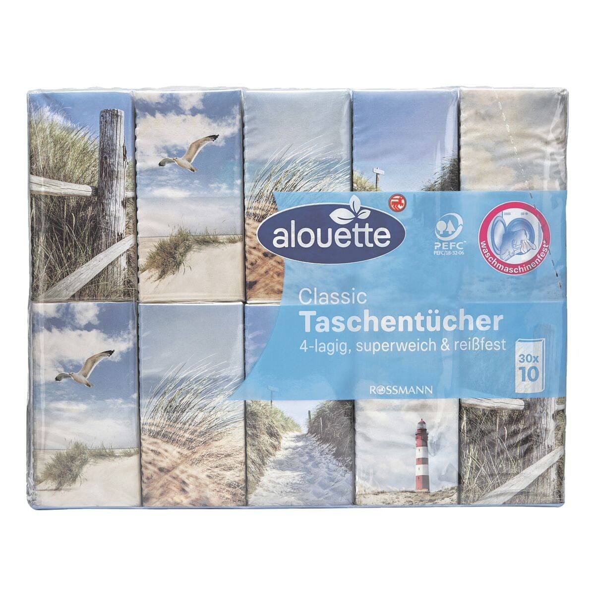 30x10 Stück Kleinpackungen Taschentücher (waschmaschinenfest)