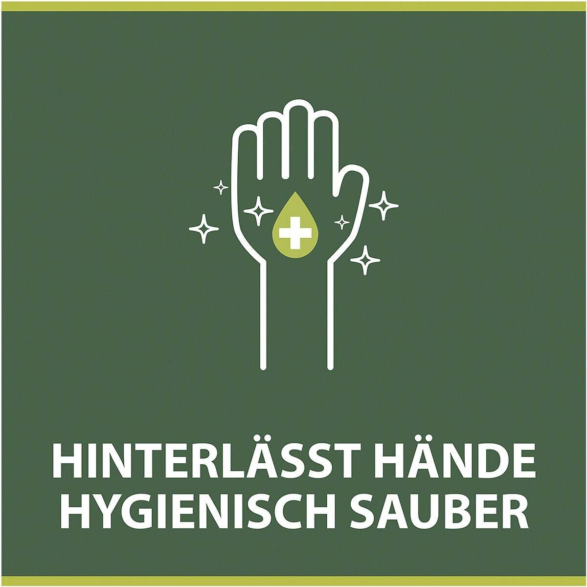 Palmolive Flüssigseife »Antibakteriell Plus« 300 ml-1