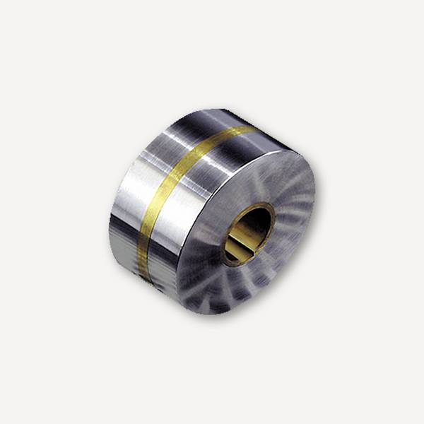 Magna-C Magnetisches Haftrad mit Zweipolteilung Ø40mm