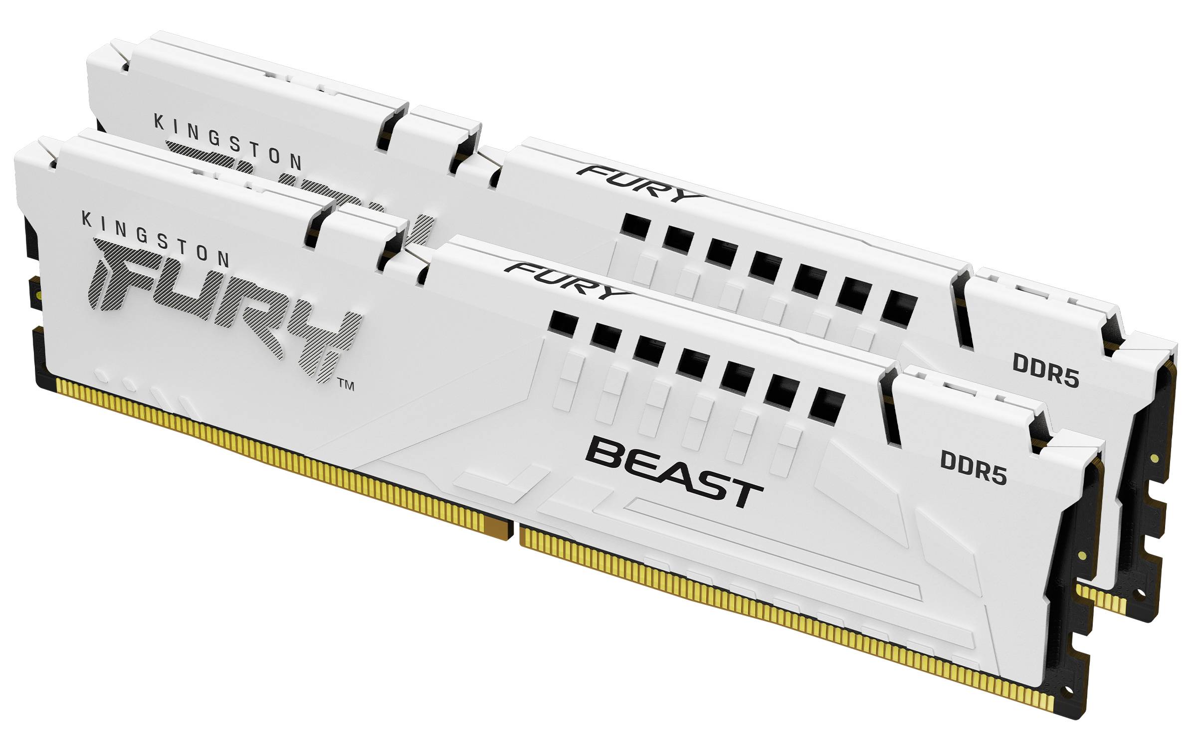 Kingston FURY Beast - DDR5 - Kit - 32 GB: 2 x-0