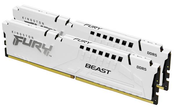 Kingston FURY Beast - DDR5 - Kit - 32 GB: 2 x